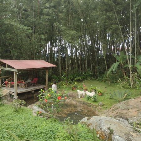 Finca Exclusividad Familiar O Grupo De Amigos Capacidad Hasta 12 Personas Calles En Placa Huella, Caminata Ecologica Alban  Экстерьер фото