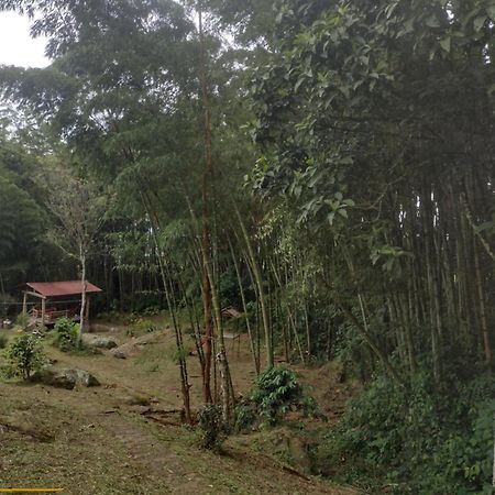 Finca Exclusividad Familiar O Grupo De Amigos Capacidad Hasta 12 Personas Calles En Placa Huella, Caminata Ecologica Alban  Экстерьер фото