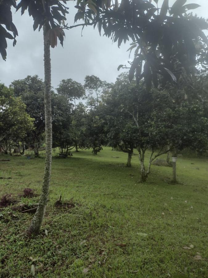 Finca Exclusividad Familiar O Grupo De Amigos Capacidad Hasta 12 Personas Calles En Placa Huella, Caminata Ecologica Alban  Экстерьер фото
