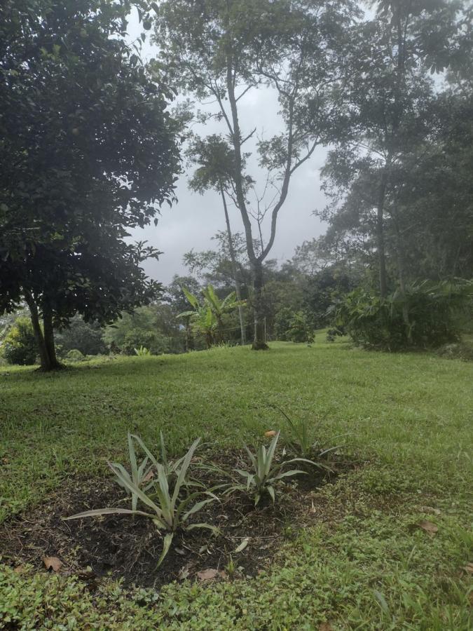 Finca Exclusividad Familiar O Grupo De Amigos Capacidad Hasta 12 Personas Calles En Placa Huella, Caminata Ecologica Alban  Экстерьер фото