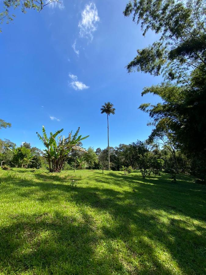 Finca Exclusividad Familiar O Grupo De Amigos Capacidad Hasta 12 Personas Calles En Placa Huella, Caminata Ecologica Alban  Экстерьер фото