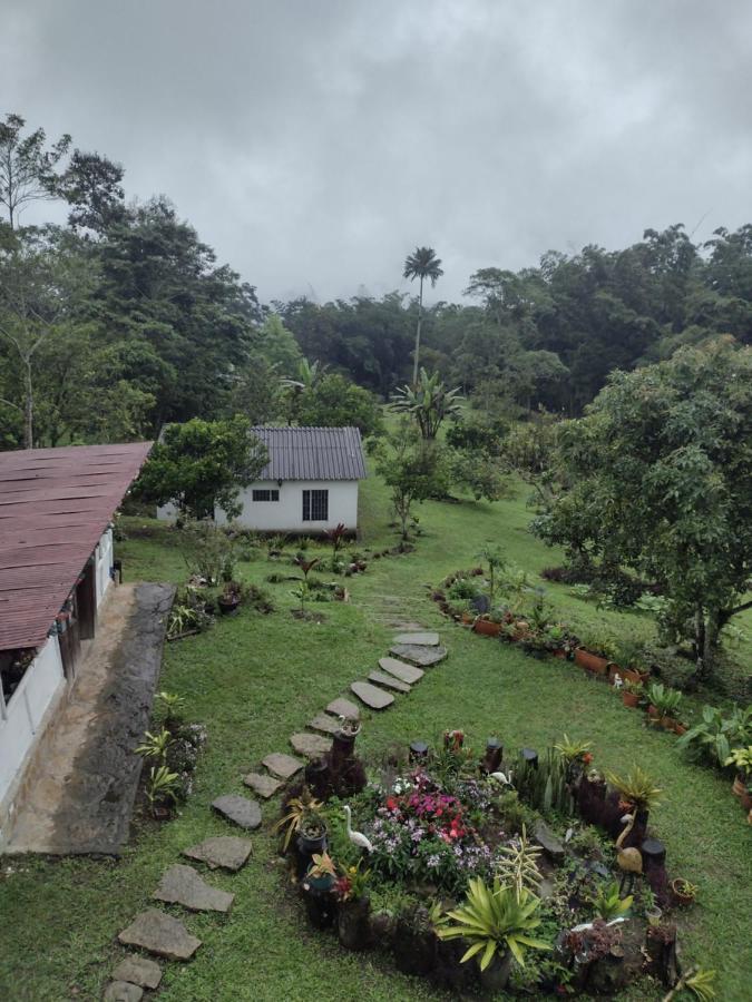 Finca Exclusividad Familiar O Grupo De Amigos Capacidad Hasta 12 Personas Calles En Placa Huella, Caminata Ecologica Alban  Экстерьер фото