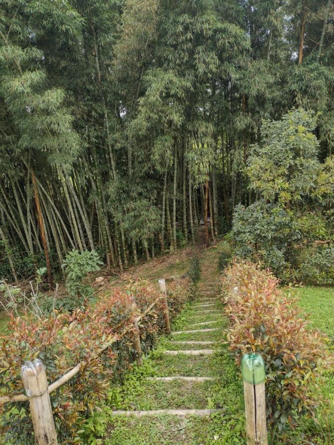Finca Exclusividad Familiar O Grupo De Amigos Capacidad Hasta 12 Personas Calles En Placa Huella, Caminata Ecologica Alban  Экстерьер фото