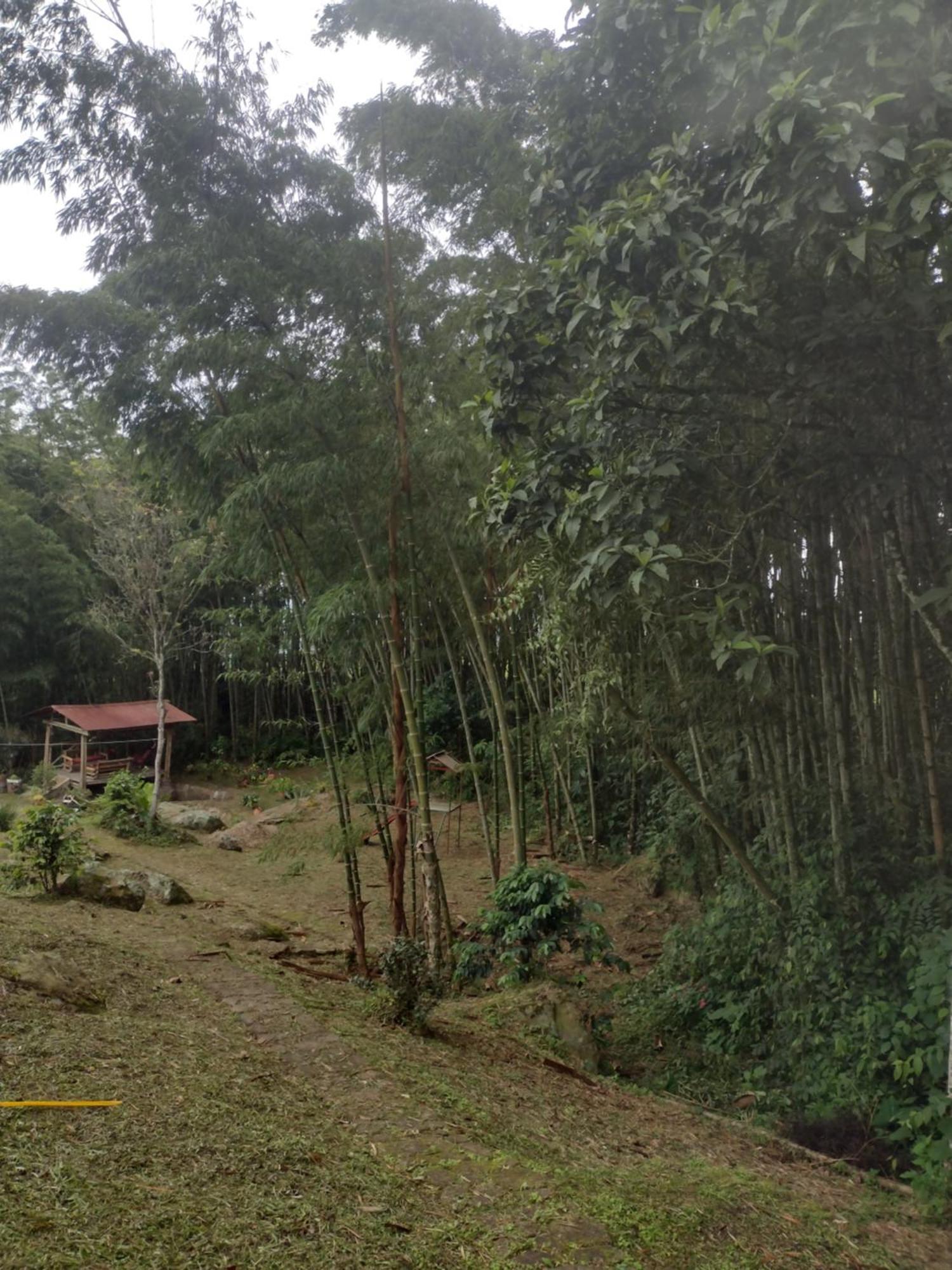 Finca Exclusividad Familiar O Grupo De Amigos Capacidad Hasta 12 Personas Calles En Placa Huella, Caminata Ecologica Alban  Экстерьер фото