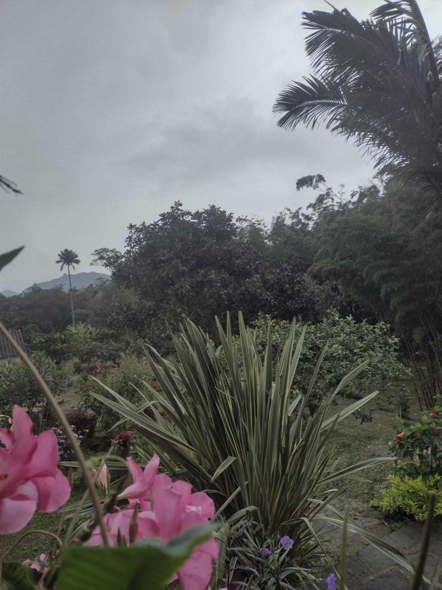 Finca Exclusividad Familiar O Grupo De Amigos Capacidad Hasta 12 Personas Calles En Placa Huella, Caminata Ecologica Alban  Экстерьер фото